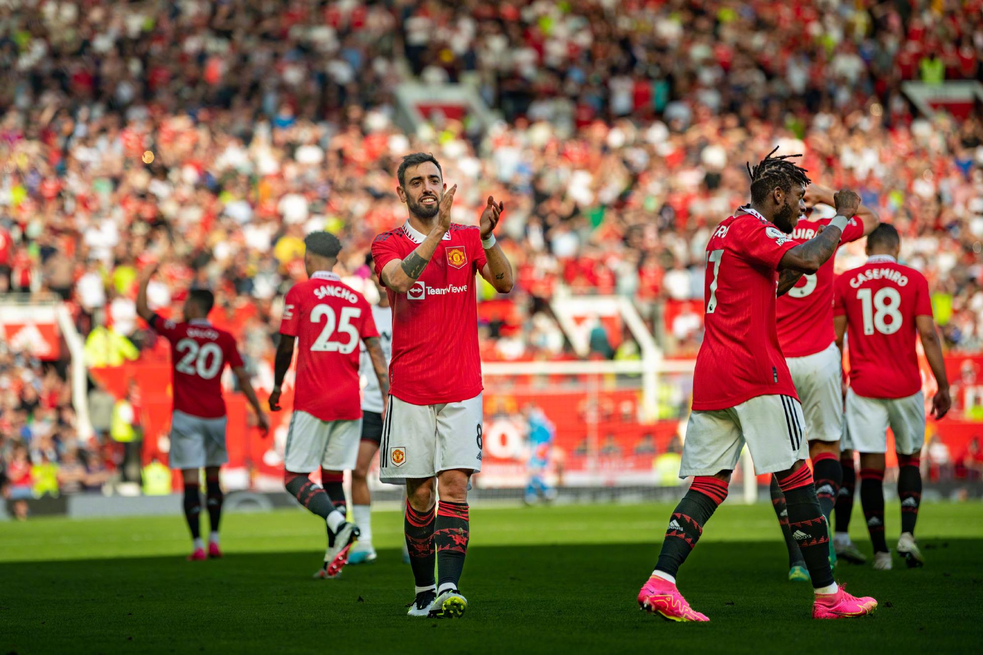 他沉着地将 他沉着地将