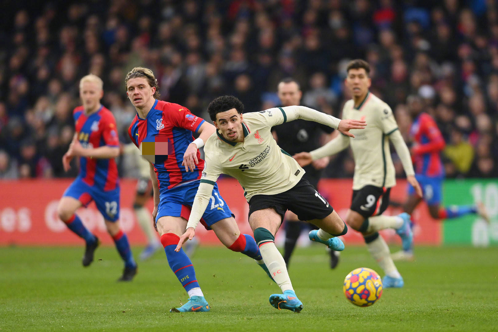 它们在球迷 它们在球迷